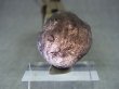 画像1: コロンビア・キンディオ産コロンビアナイト原石 9.0g