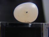 画像: 和田玉（ホータンぎょく）「羊脂白玉」オリジナルビーズ 約16×13×12mm