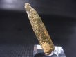 画像2: 柿野鉱山産緑水晶（ヘデンベルガイト/緑閃石入りインターフェレンス型） 7.6g