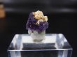 画像2: ドイツ・ザクセン州産フローライトon水晶(シデライト共生) 1.1g