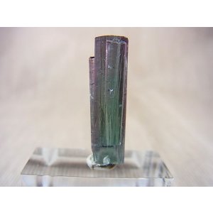 画像: ブラジル産ブルーグリーン/ピンクヴェルデライト（グリーントルマリン）柱状結晶 12.5カラット