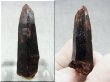 画像1: フィンランド・リプシニエミ産モリオン（黒水晶/ケアンゴーム） 10.7g