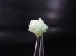 画像1: アメリカ・ルイジアナ州産ボラサイト結晶 1.5カラット