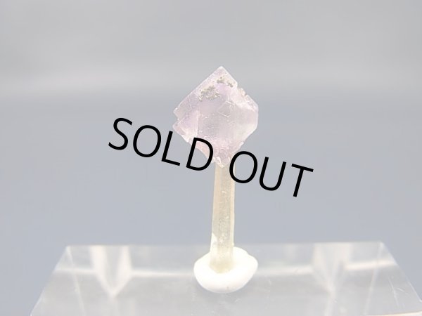 画像1: ドイツ・ザクセン州産パープルフローライトon水晶(パイライト共生) 0.7g