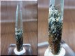 画像1: 新産水晶：ガネーシュヒマール・ダーディン産ミックスインクルージョン/レーザー型水晶 8.0g