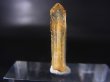 画像1: 五代松鉱山産トラピチェ・レモン水晶 0.6g