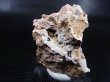 画像1: 鹿児島産オオスミライト（大隅石） 27.4g