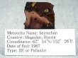 画像2: ロシア産セイムチャン・パラサイト（石鉄）隕石 7.3g
