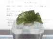 画像1: ジュエリー品質：チェコ産モルダバイトSA原石（国内鑑別書付き） 2.3ｇ