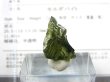 画像1: ジュエリー品質：チェコ産モルダバイトSA原石 1.3g