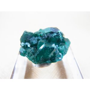 画像: コンゴ産ダイオプテーズ原石(大粒結晶) 7.9g