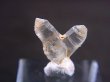 画像1: マダガスカル産ジャパニーズツイン（日本式双晶水晶/エレスチャル） 0.4g