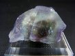 画像1: ナミビア・エロンゴ産フローライト（フロゴパイトインクルージョン） 18.1g