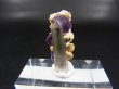 画像1: ドイツ・ザクセン州産フローライトonグリーン水晶(シデライト共生) 1.5g
