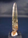 画像1: 新産水晶：ガネーシュヒマール・ダーディン産ミックスインクルージョン/レーザー型水晶 9.5g