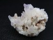 画像1: 栃木県富井鉱山産紫水晶(アメジスト)クラスター 20.8g