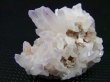 画像2: 栃木県富井鉱山産紫水晶(アメジスト)クラスター 20.8g