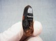 画像1: フィンランド・リプシニエミ産モリオン（黒水晶/ケアンゴーム） 6.5g