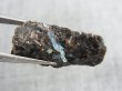 画像1: グリーンランド産ヌーマイト研磨スライス 2.5g