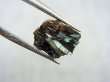 画像2: グリーンランド産ヌーマイト研磨スライス 0.5g