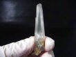 画像1: 新産水晶：ガネーシュヒマール・ダーディン産ミックスインクルージョン/レーザー型水晶 8.4g