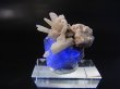 画像2: ナミビア・エロンゴ産フローライト/水晶原石 7.8g