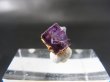 画像1: ナミビア・エロンゴ産フローライト原石 0.6g