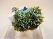 画像1: 新産地：ベトナム・ニントゥアン産エピドート原石（水晶/長石共生） 15.8g