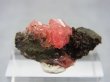 画像2: メキシコ・チワワ産ロードクロサイト原石 2.9g