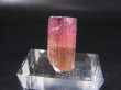 画像1: ナミビア・エロンゴ産ピンクトルマリン柱状結晶 18.6カラット