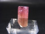 画像: ナミビア・エロンゴ産ピンクトルマリン柱状結晶 18.6カラット