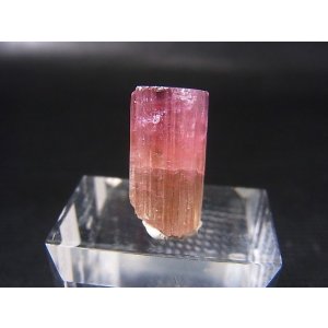 画像: ナミビア・エロンゴ産ピンクトルマリン柱状結晶 18.6カラット