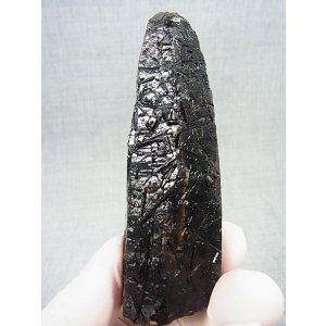画像: フィンランド・リプシニエミ産モリオン(黒水晶/ケアンゴーム/ブラックトルマリン付き) 163.8g