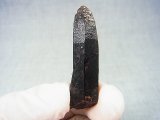 画像: フィンランド・リプシニエミ産モリオン（黒水晶/ケアンゴーム） 11.9g