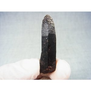 画像: フィンランド・リプシニエミ産モリオン(黒水晶/ケアンゴーム) 11.9g