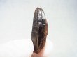 画像1: フィンランド・リプシニエミ産モリオン（黒水晶/ケアンゴーム） 7.9g