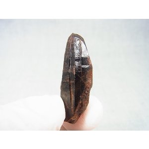 画像: フィンランド・リプシニエミ産モリオン(黒水晶/ケアンゴーム) 7.9g