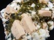 画像2: キャビネットサイズ：ベトナム・ニントゥアン産エピドート/長石他共生原石 459.1g
