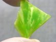 画像1: ヴィクトリアストーン（飯盛ラボストーンIL-stone）グリーン原石 14.1カラット
