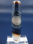 画像1: ボツワナ産ピクチャーアゲート現代天珠（自然一眼） 直径約13×52mm