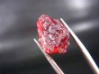 画像1: 宝石品質：ブラジル産エッチング・スペサルティンガーネット原石 14.6カラット