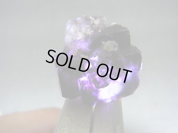 画像2: ナミビア・エロンゴ産ブラック(ディープパープルカラー)フローライト原石 11.0g