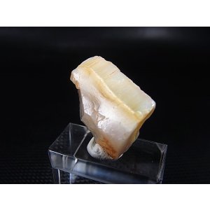 画像: タンザニア産イエローオパール原石 5.5g