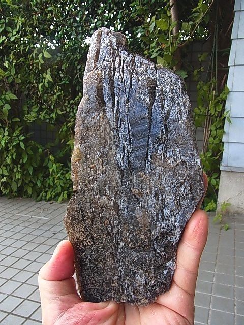 画像: パナスケイラ産モリオン（キャビネットサイズ：黒水晶板状結晶）1,048g