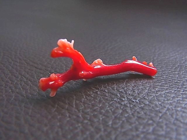 画像: 土佐沖産血赤本サンゴ原木 3.7カラット