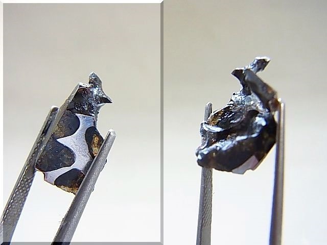 画像: ベラルーシ産ブラヒン・パラサイト（石鉄）隕石1.3g