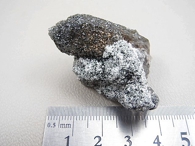 画像: ポーラー（北極）ウラル産クローライト付き水晶23.1g