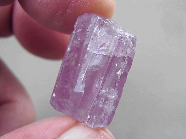 限定数のみ！ アンモライト 73.00Ct 証明証付 オパール アンモナイト