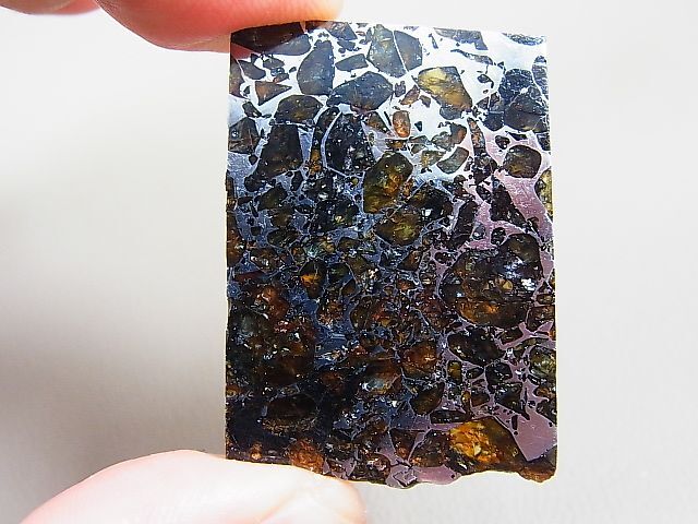 ロシア産セイムチャン・パラサイト（石鉄）隕石 14.8g