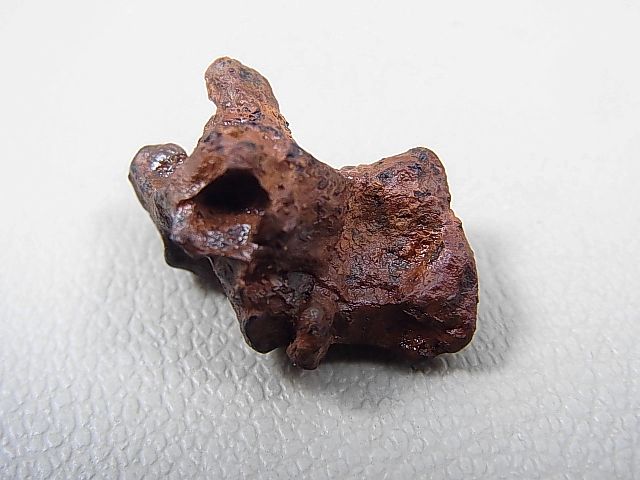 画像: イミラック・パラサイト（石鉄）隕石 8.9g